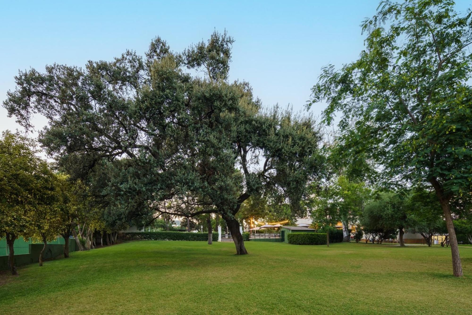 Crisol Jardines De Cordoba Hotel Bagian luar foto